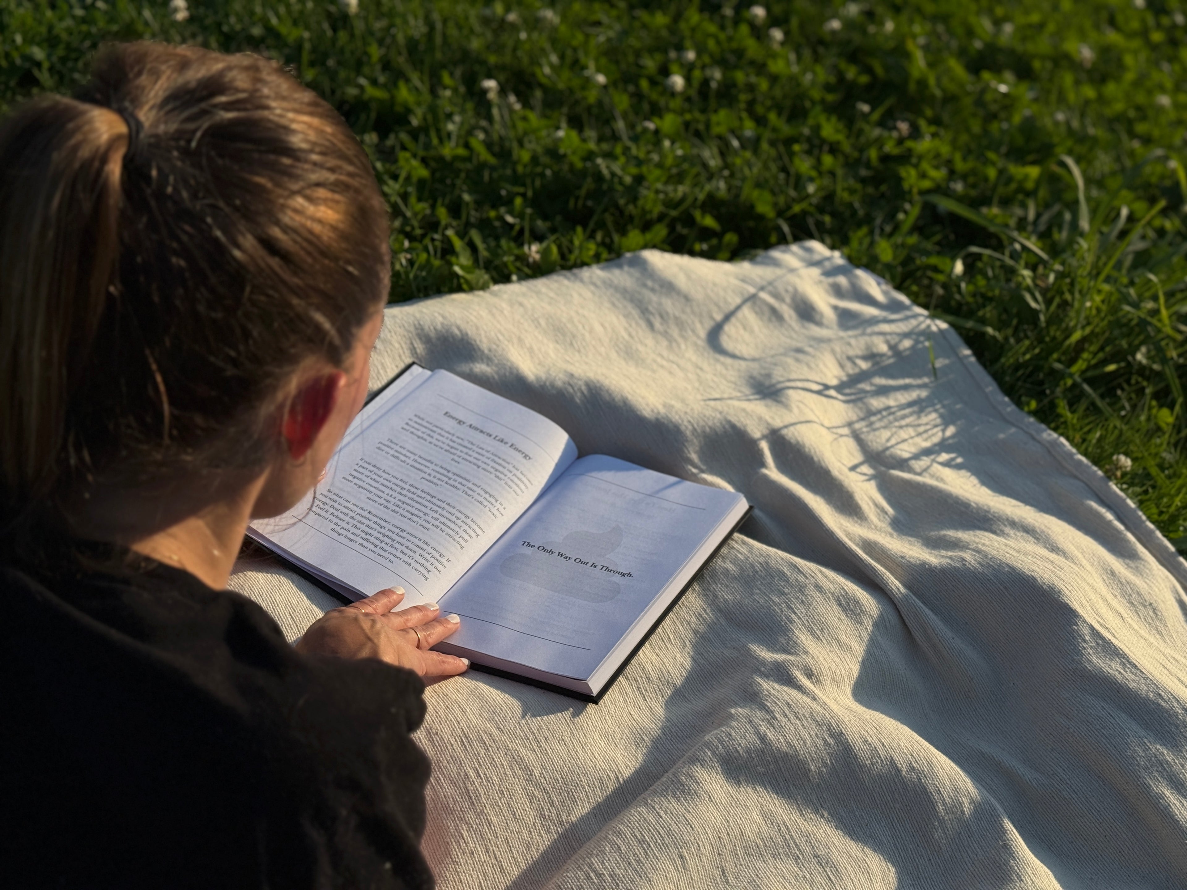 The Bullshit Journal (Paperback)